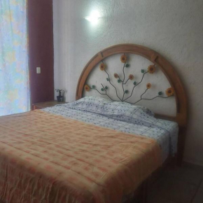 Huge room/big bed/A.C./downtown/quiet/balcony/pool